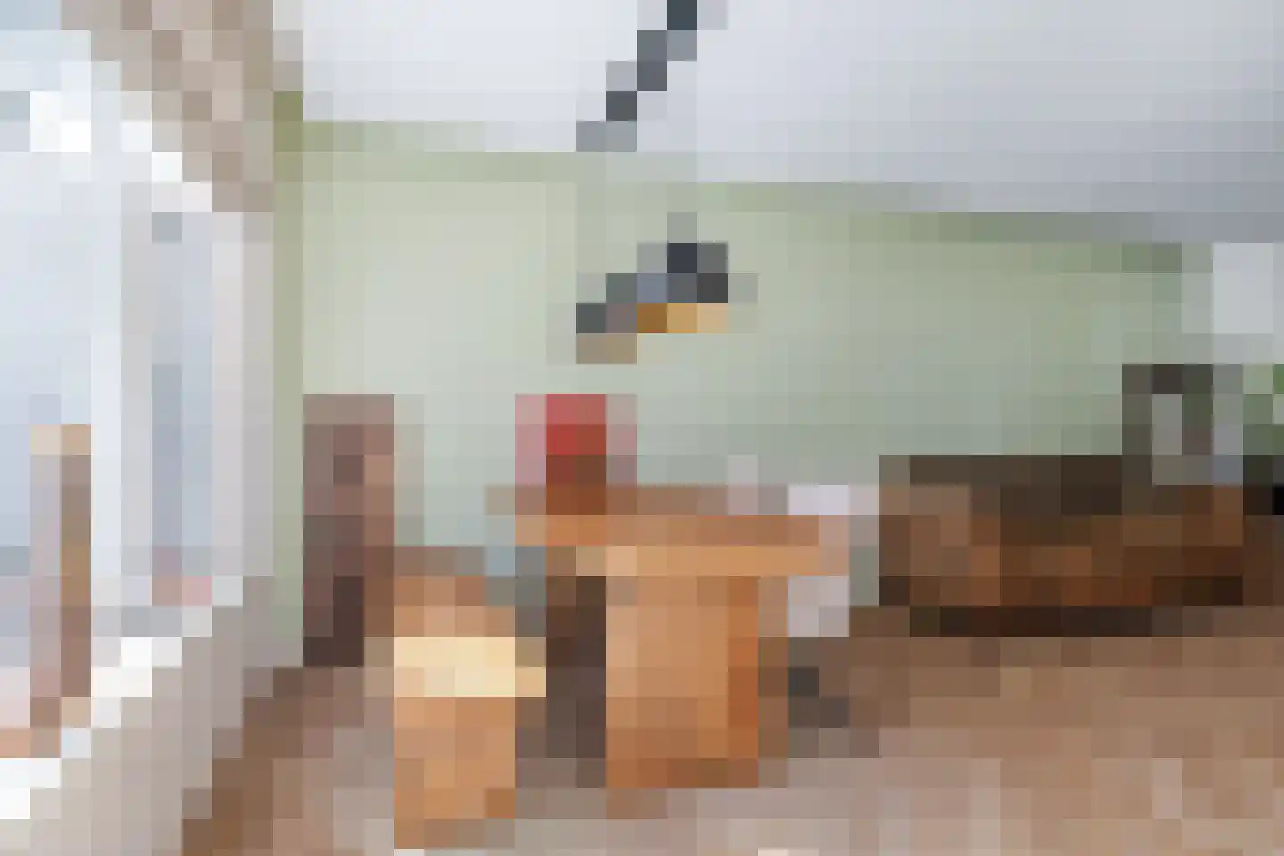Anjelierstraat 6 Heerenveen thumbnail 7