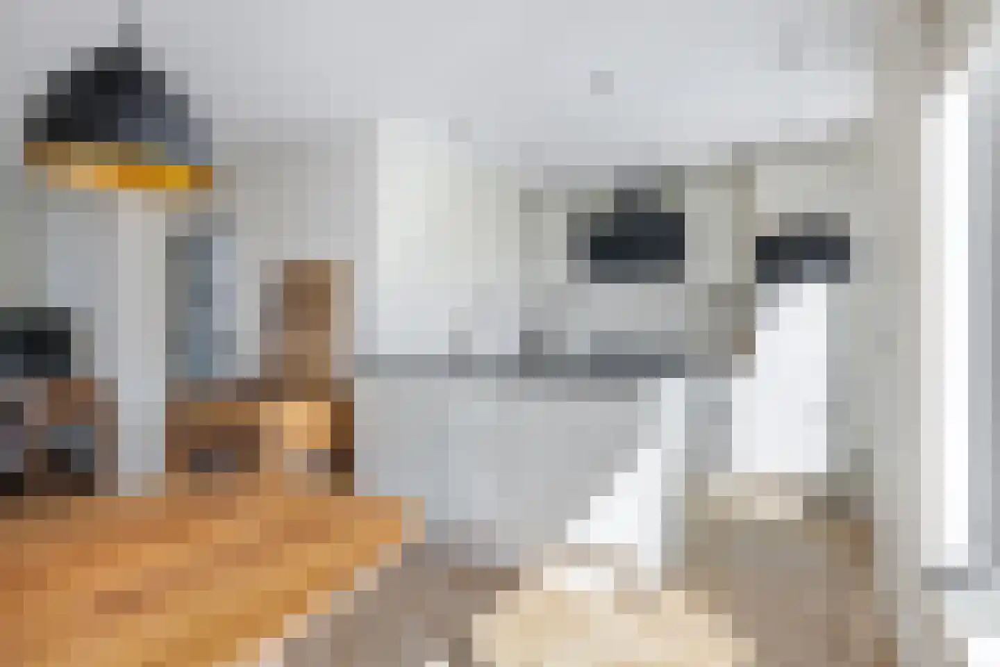 Anjelierstraat 6 Heerenveen thumbnail 8