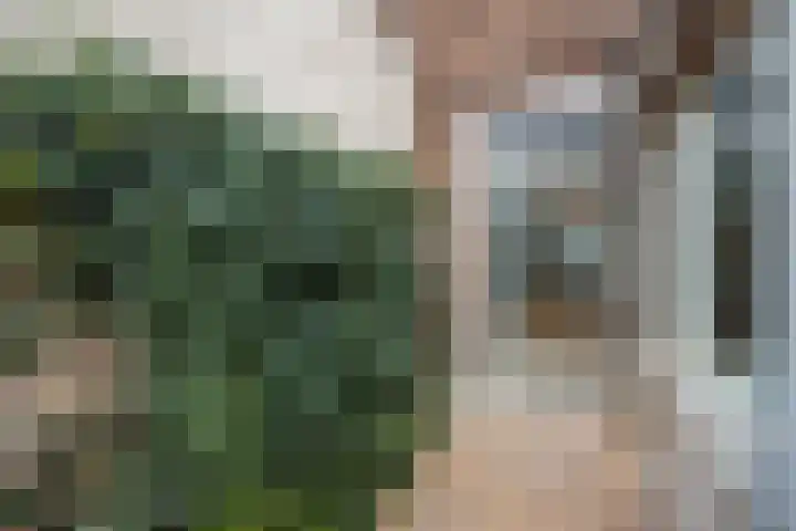 Anjelierstraat 6 Utrecht thumbnail 13
