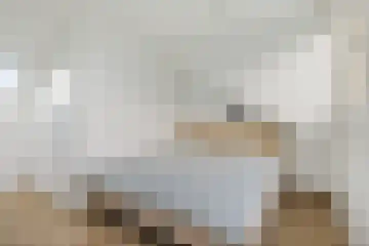 Anjelierstraat 6 Utrecht thumbnail 25