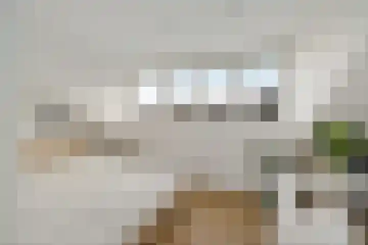 Anjelierstraat 6 Utrecht thumbnail 26