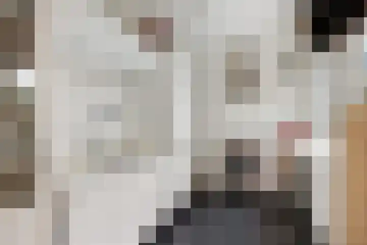 Anjelierstraat 6 Utrecht thumbnail 9