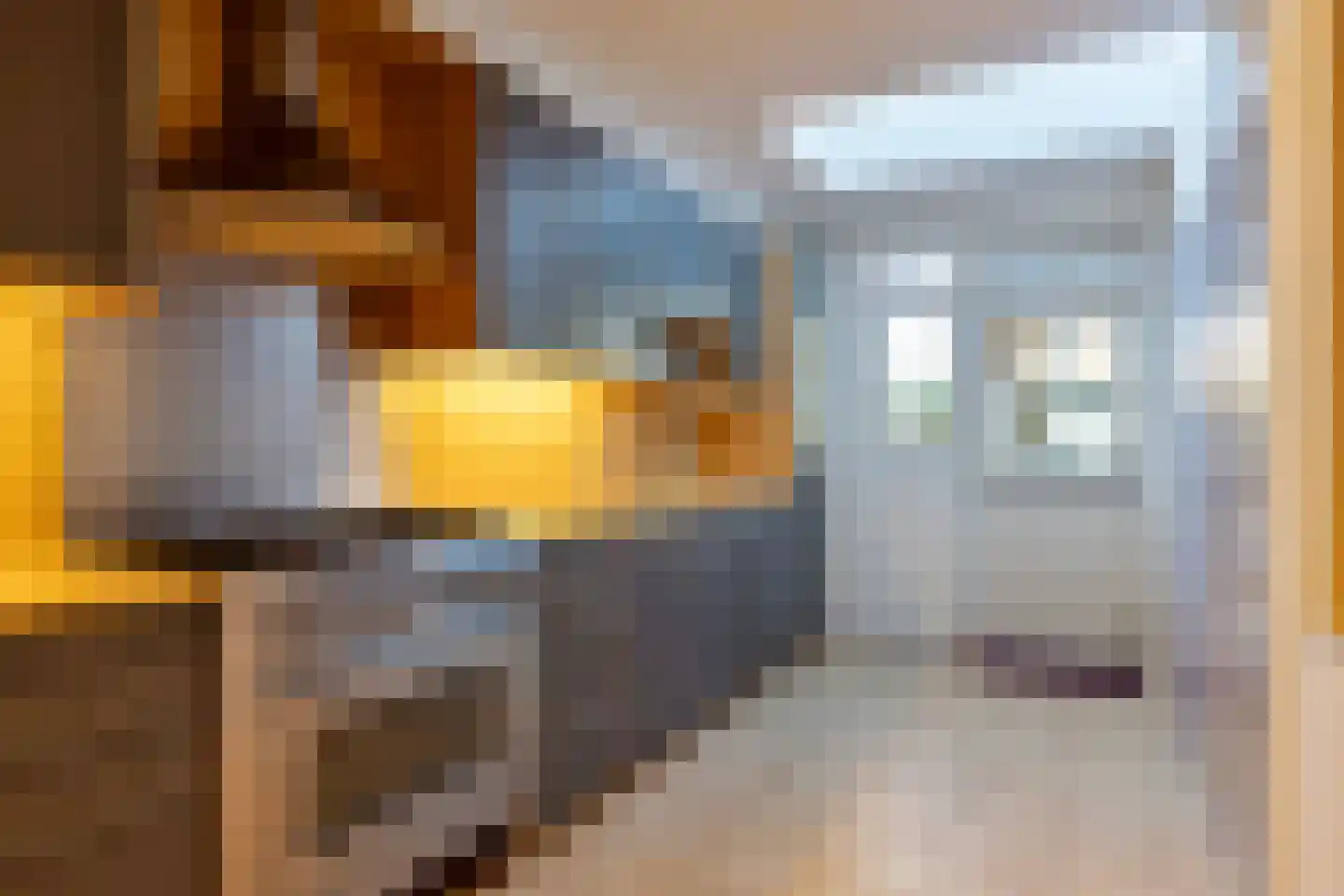 Anjelierstraat 60 Eindhoven thumbnail 14