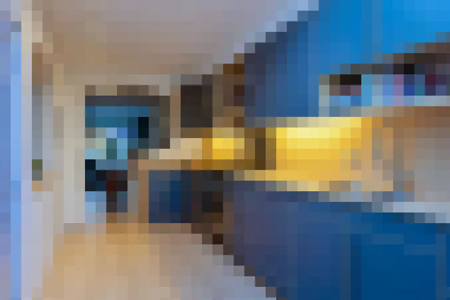 Anjelierstraat 60 Eindhoven thumbnail 15