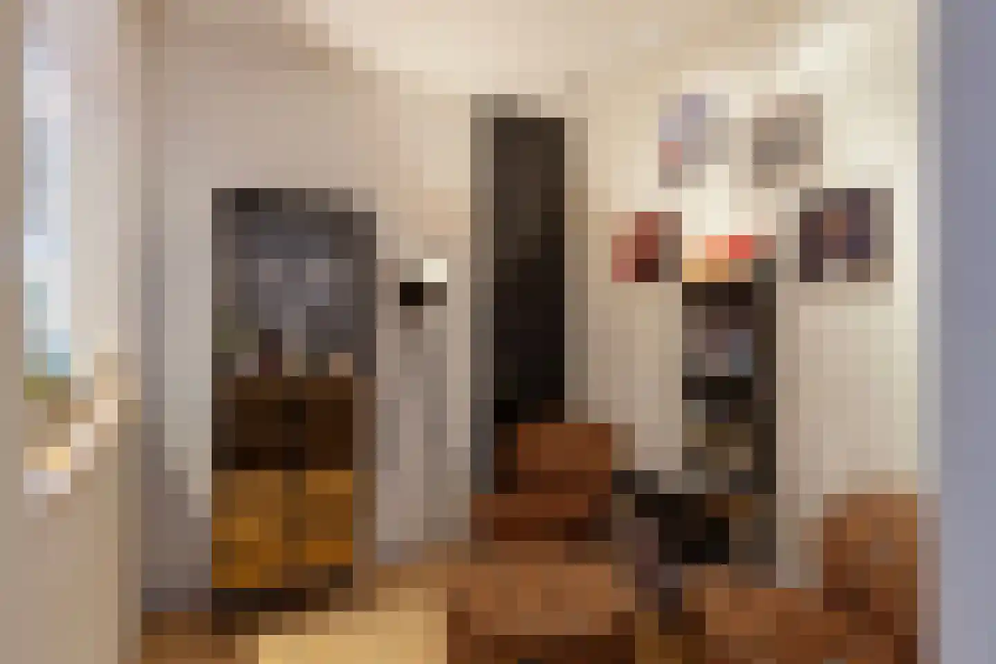Anjelierstraat 60 Eindhoven thumbnail 18