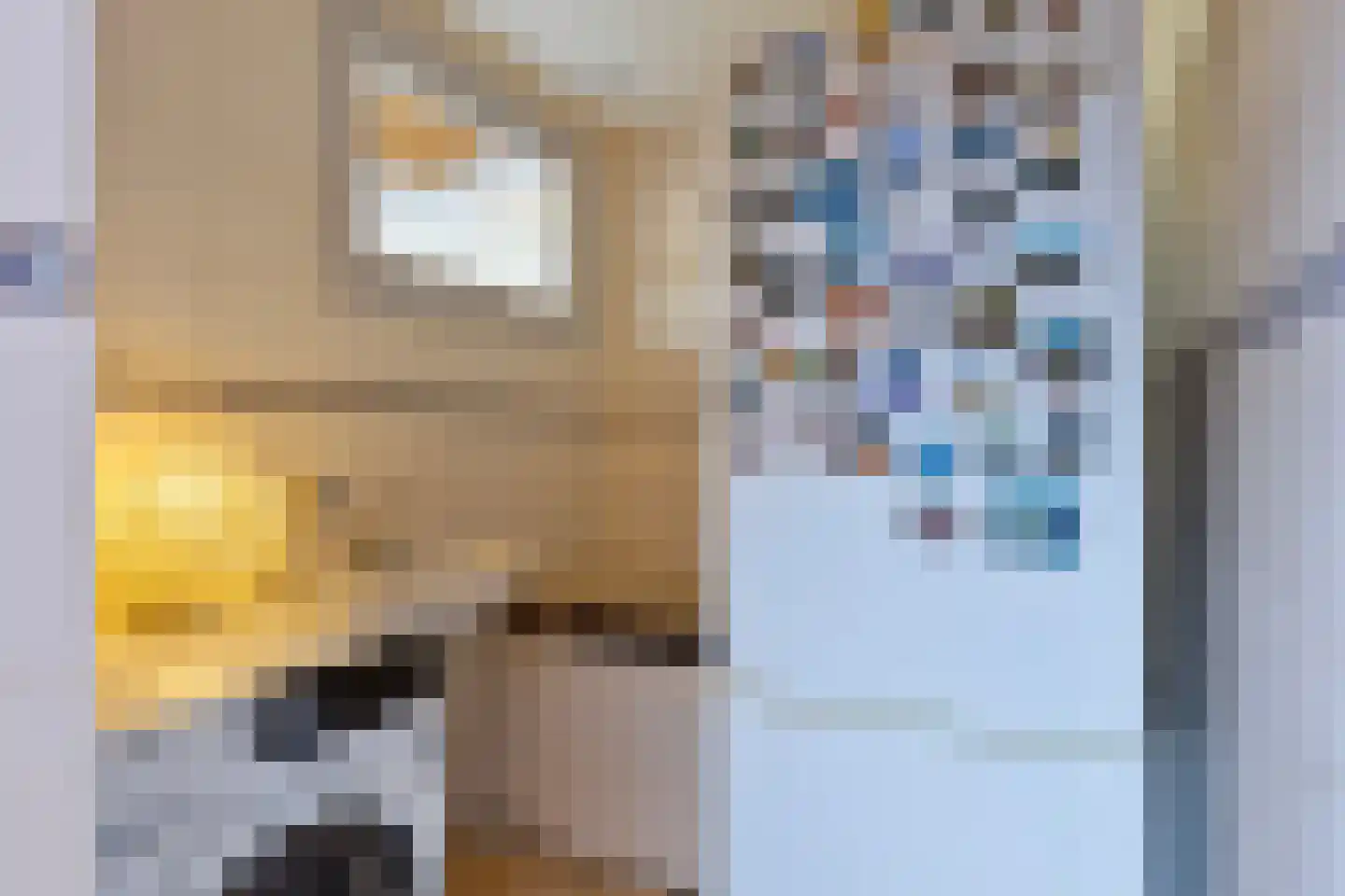 Anjelierstraat 60 Eindhoven thumbnail 21
