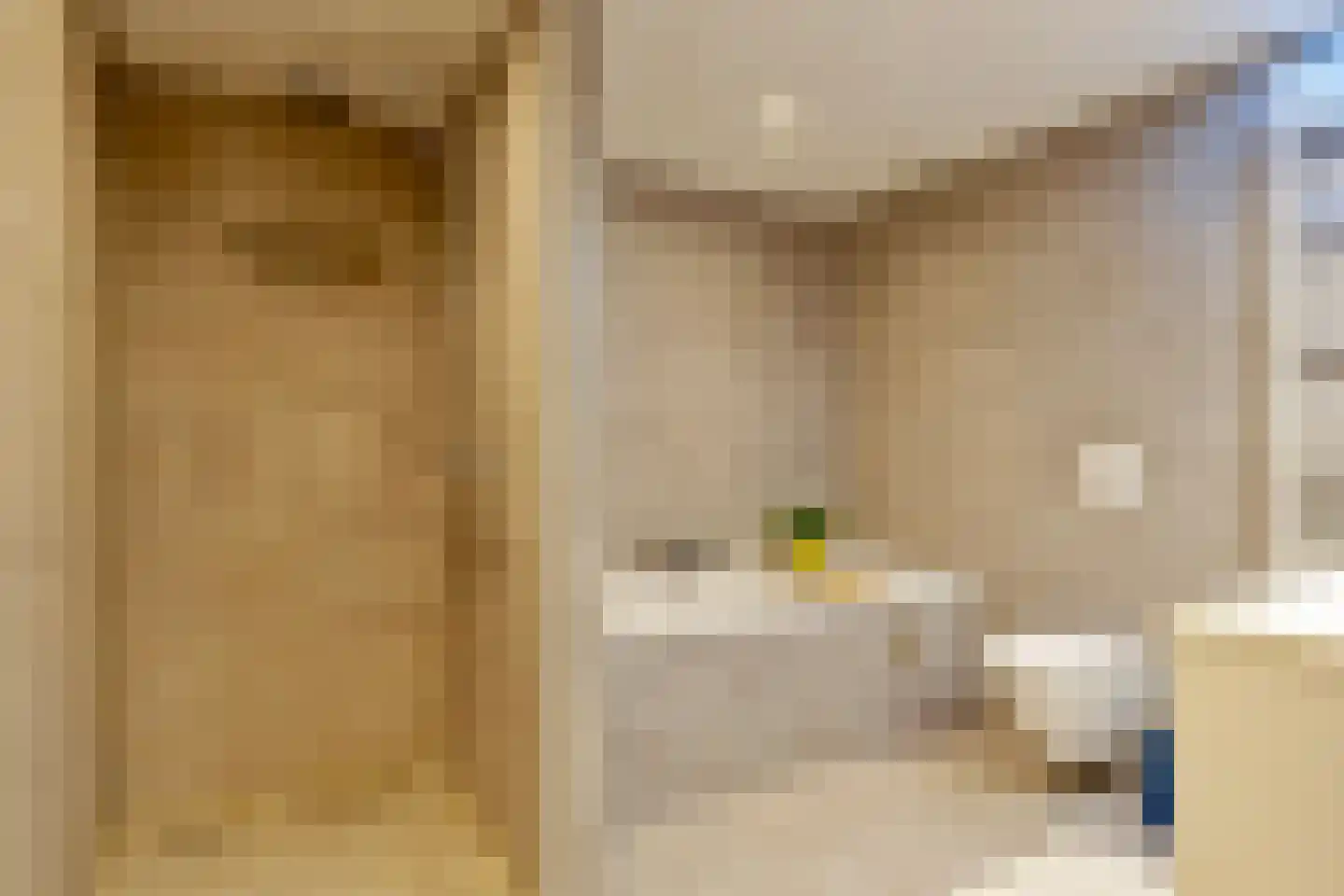Anjelierstraat 60 Eindhoven thumbnail 30