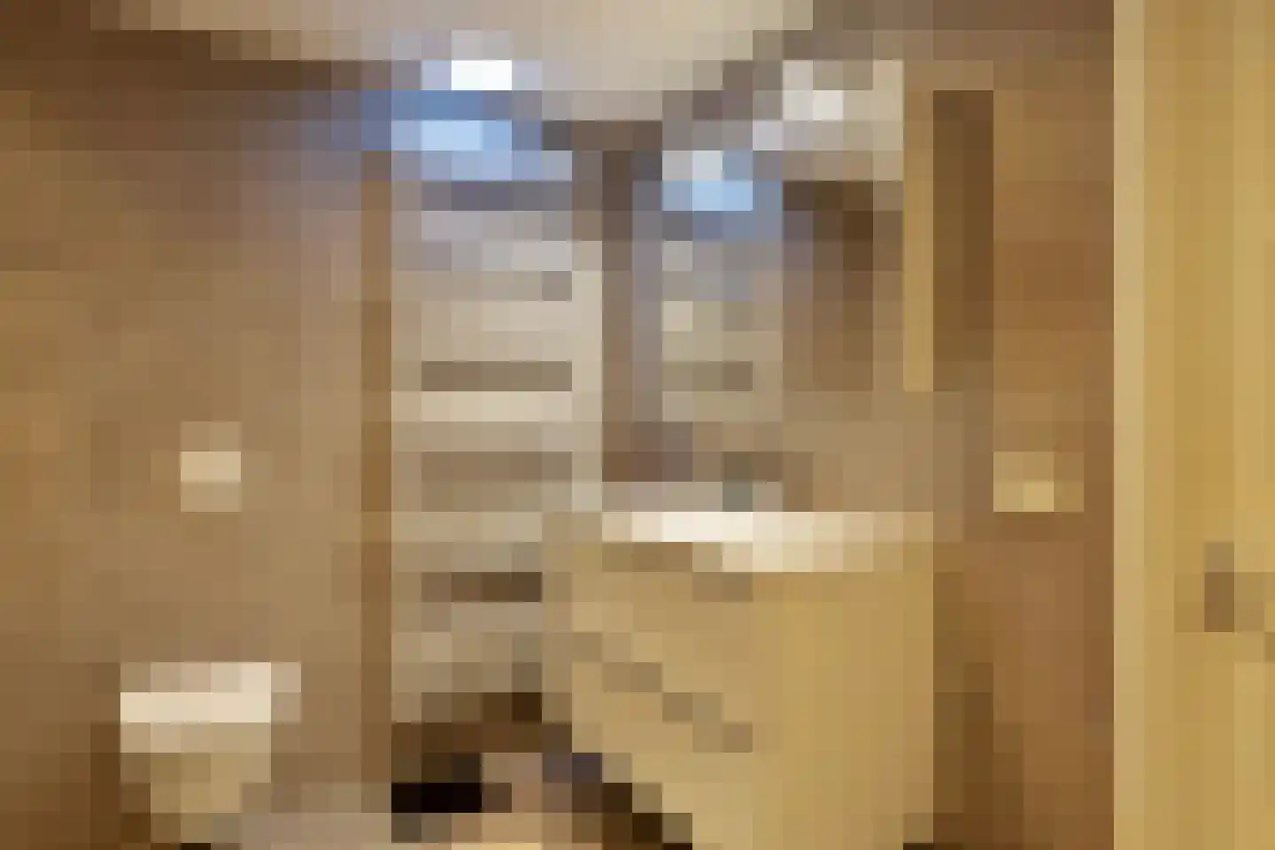 Anjelierstraat 60 Eindhoven thumbnail 31