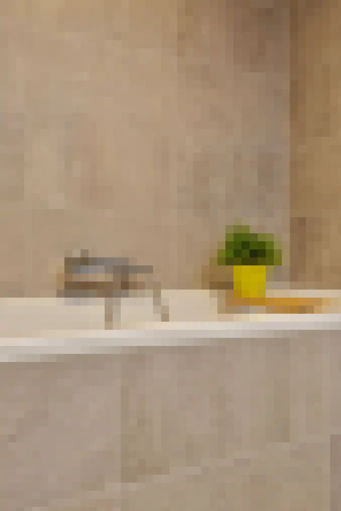 Anjelierstraat 60 Eindhoven thumbnail 32