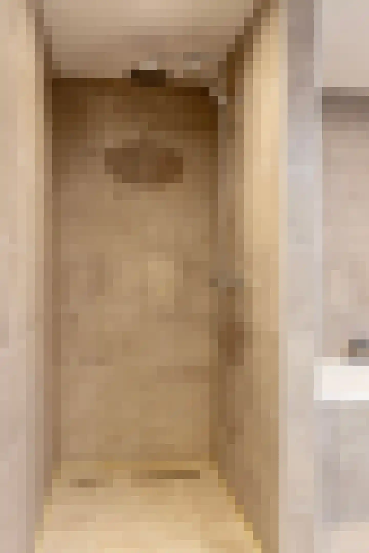 Anjelierstraat 60 Eindhoven thumbnail 33