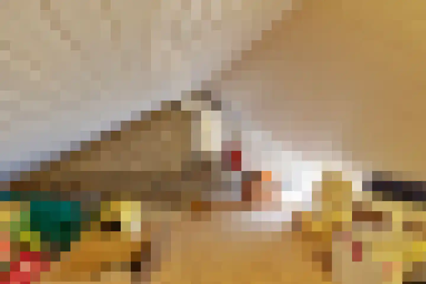 Anjelierstraat 60 Eindhoven thumbnail 38
