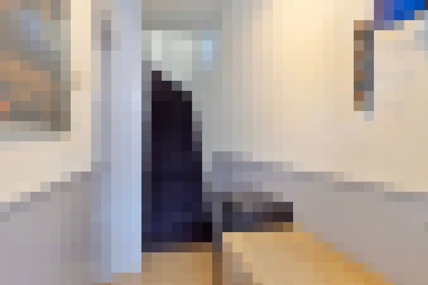 Anjelierstraat 60 Eindhoven thumbnail 7