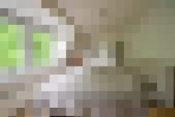 Anjelierstraat 7 Hilversum thumbnail 12