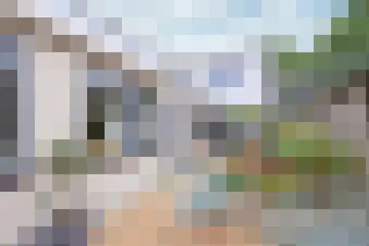 Anjelierstraat 7 Hilversum thumbnail 17