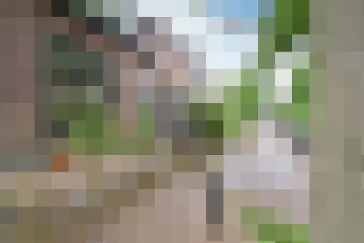 Anjelierstraat 7 Hilversum thumbnail 21