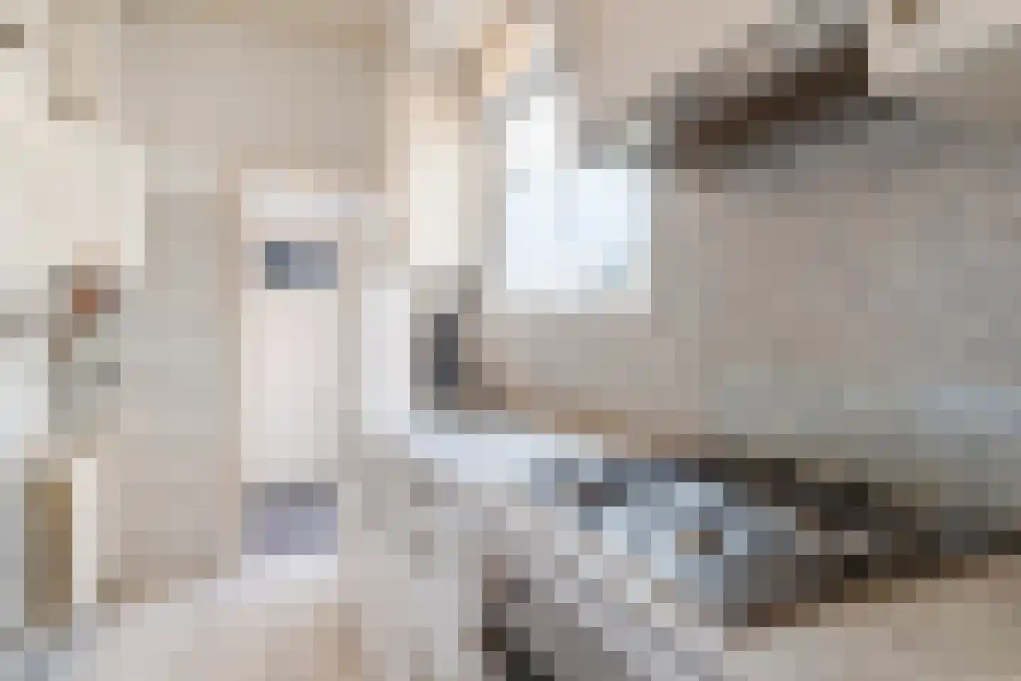Anjelierstraat 8 Culemborg thumbnail 12