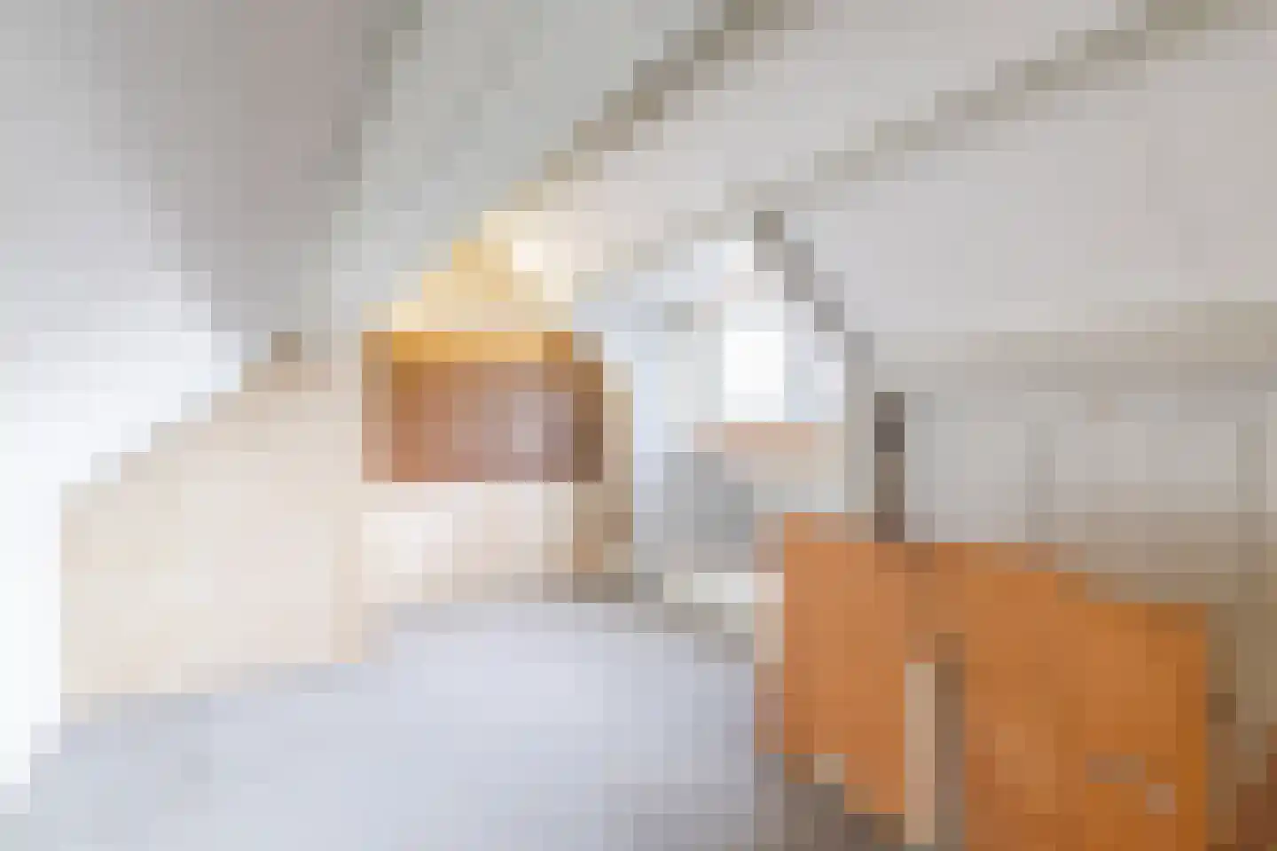 Anjelierstraat 8 Culemborg thumbnail 33