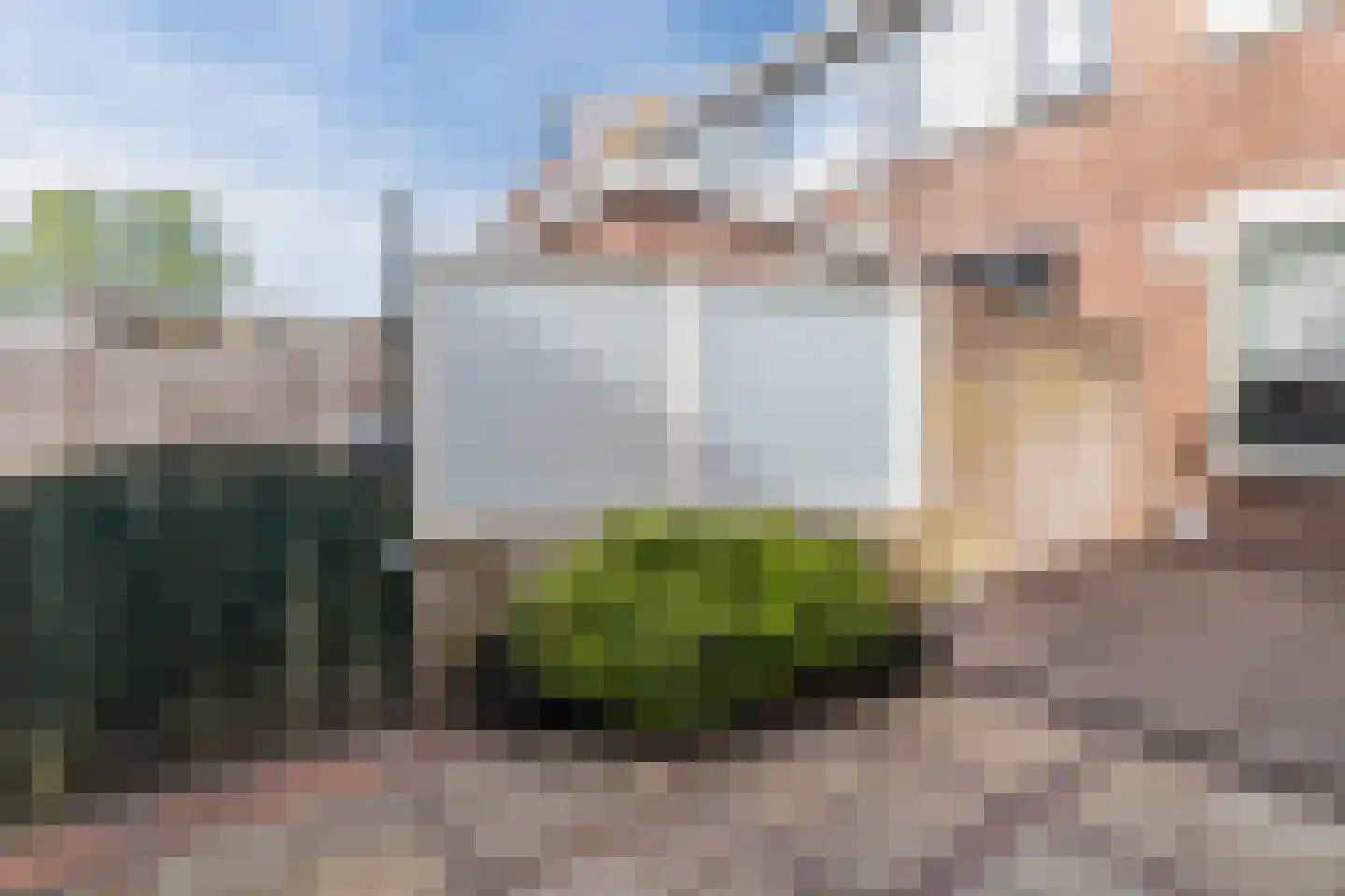 Anjelierstraat 8 Culemborg thumbnail 41