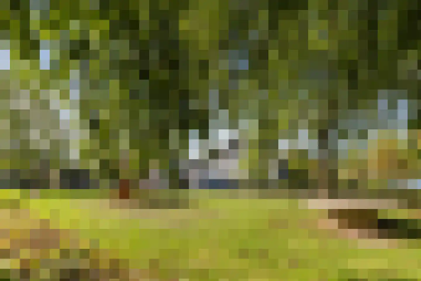 Anjelierstraat 8 Culemborg thumbnail 47