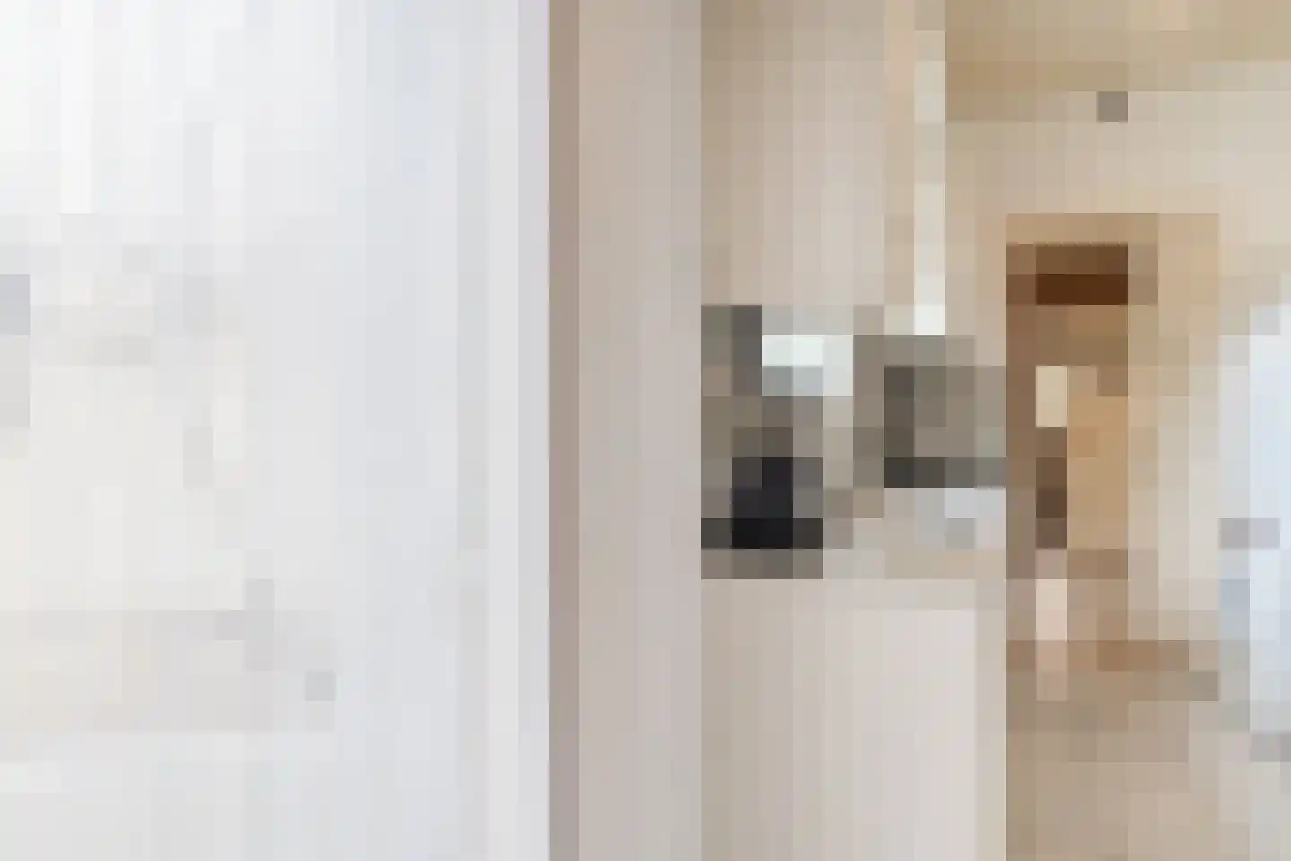 Anjelierstraat 8 Culemborg thumbnail 9