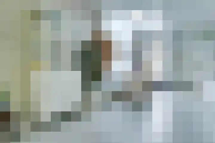 Anjelierstraat 8 Utrecht thumbnail 11