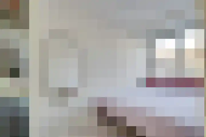 Anjelierstraat 8 Utrecht thumbnail 27