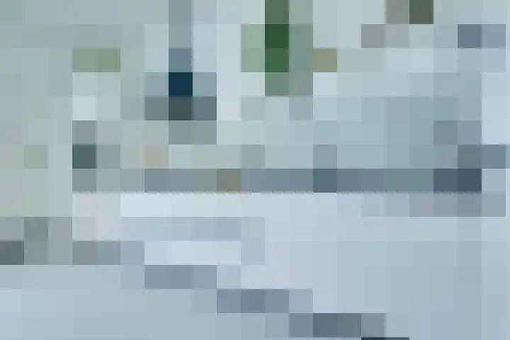 Anjelierstraat 8 Utrecht thumbnail 4
