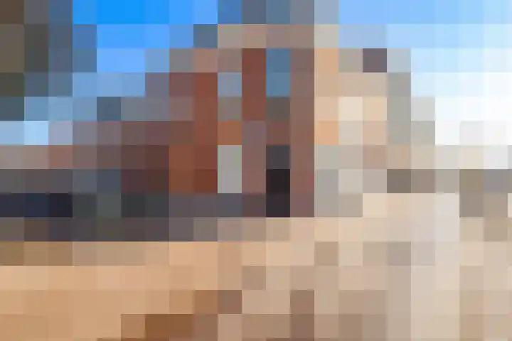 Anjelierstraat 8 Utrecht thumbnail 45