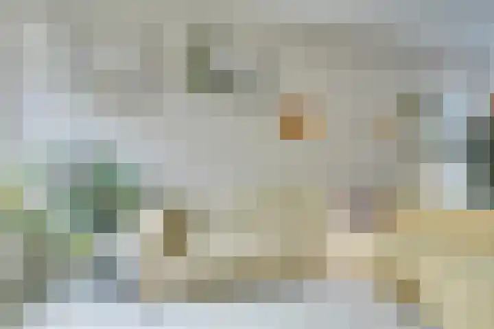 Anjelierstraat 8 Utrecht thumbnail 6