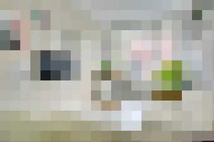 Anjelierstraat 8 Utrecht thumbnail 8