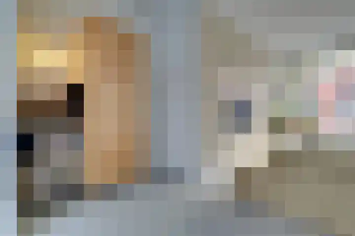 Anjelierstraat 8 Utrecht thumbnail 9