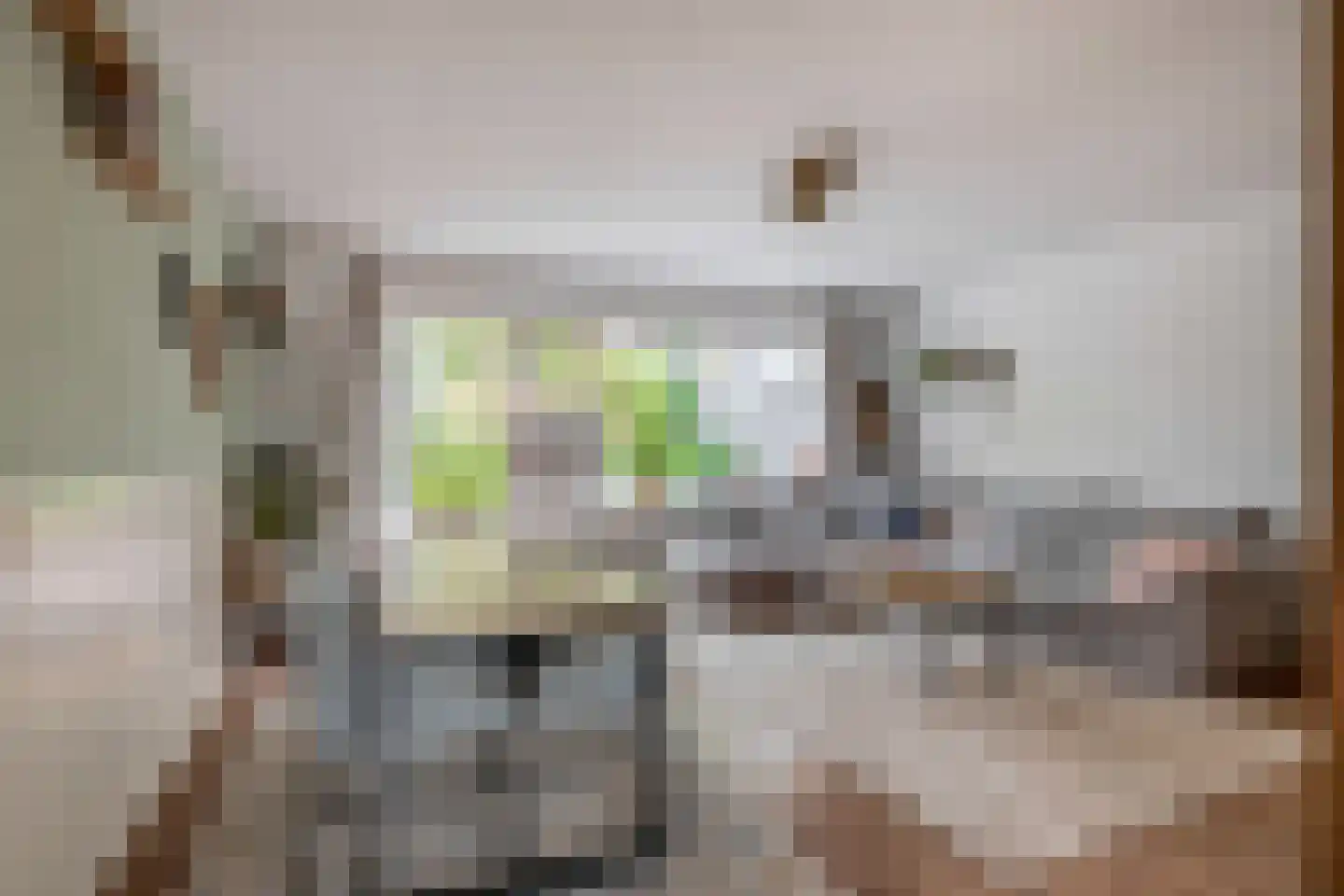 Anjeliertuin 18 Zoetermeer thumbnail 11