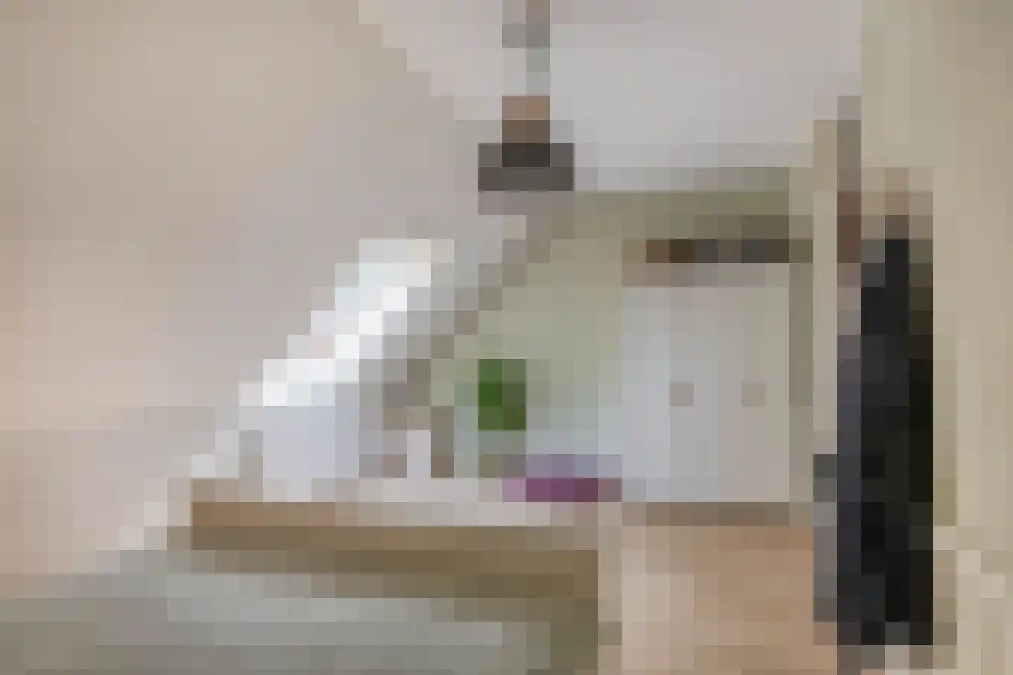 Anjeliertuin 18 Zoetermeer thumbnail 19
