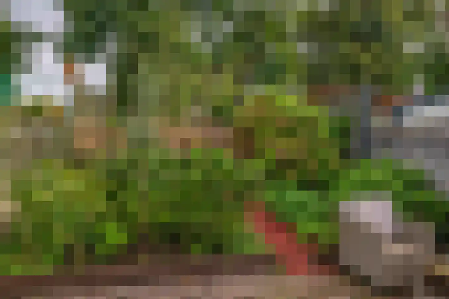 Anjeliertuin 18 Zoetermeer thumbnail 26