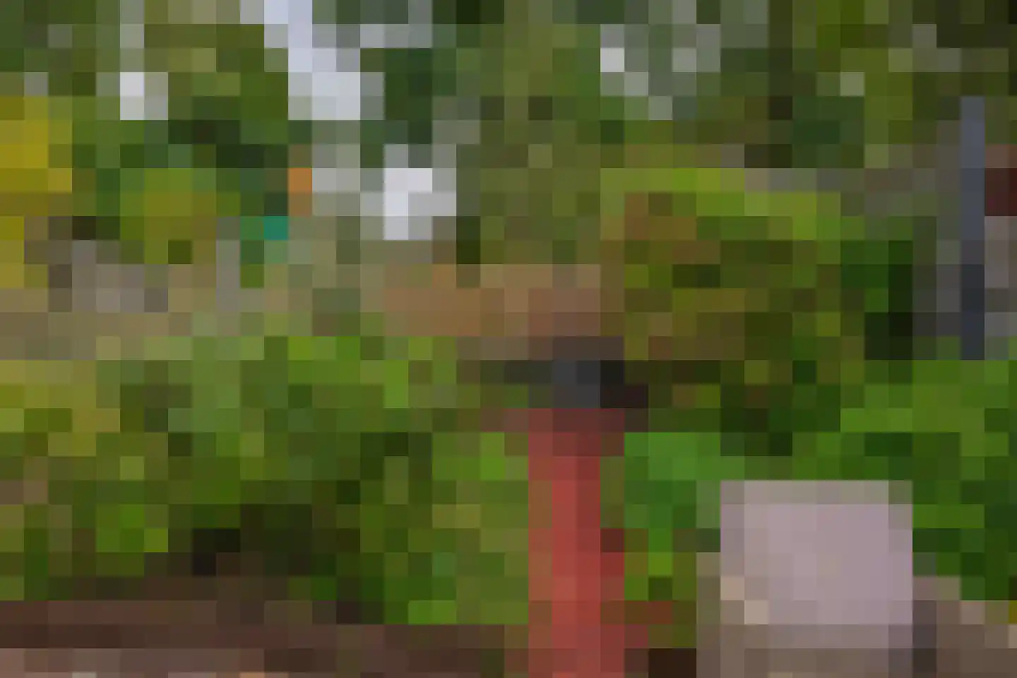 Anjeliertuin 18 Zoetermeer thumbnail 27