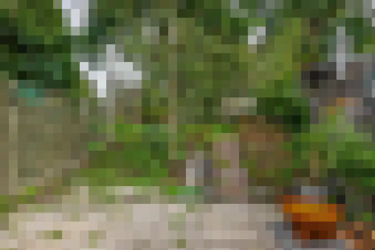 Anjeliertuin 18 Zoetermeer thumbnail 28