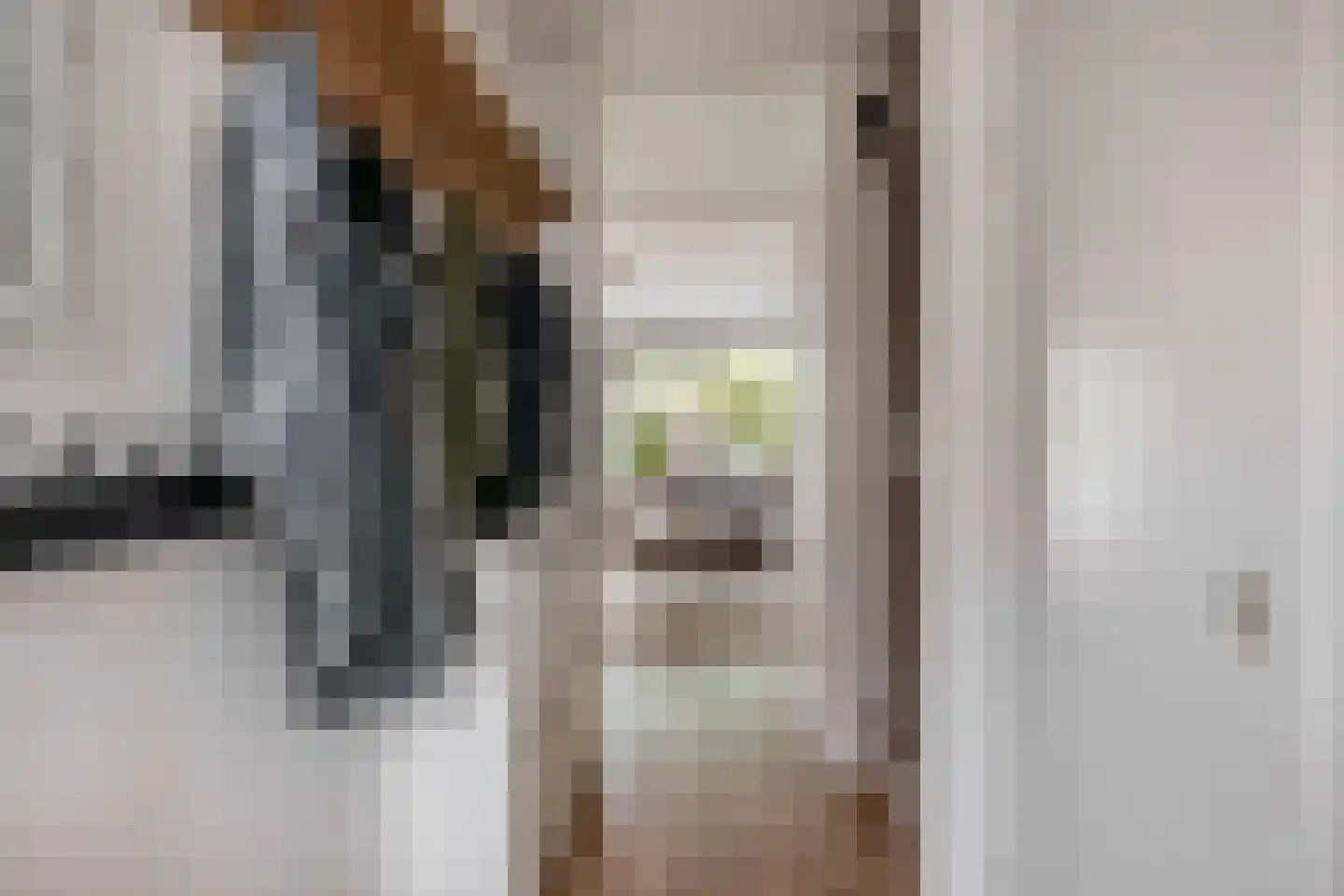 Anjeliertuin 18 Zoetermeer thumbnail 7