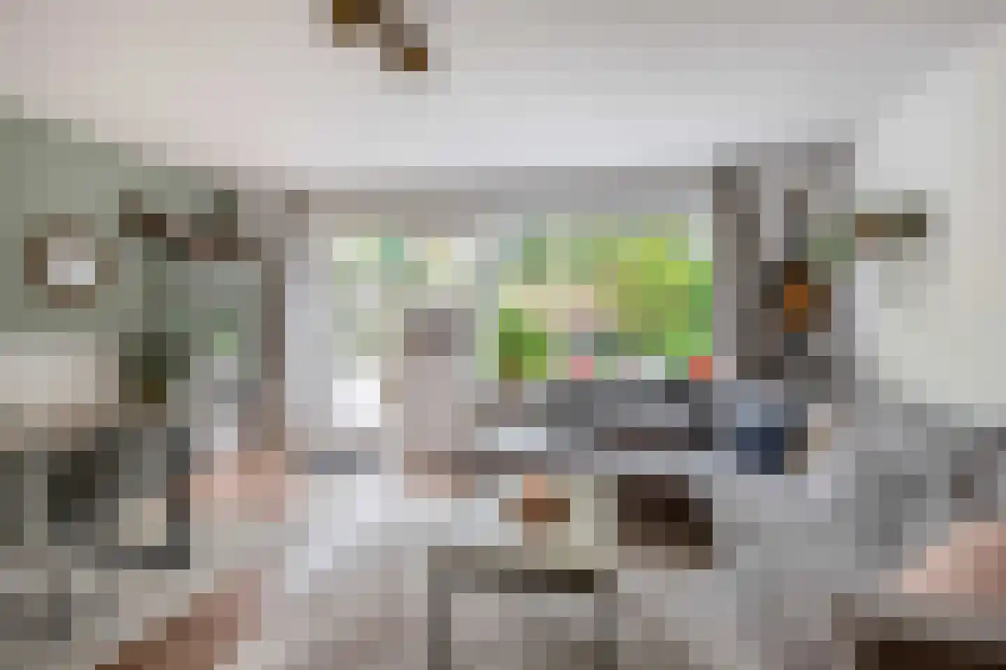 Anjeliertuin 18 Zoetermeer thumbnail 9