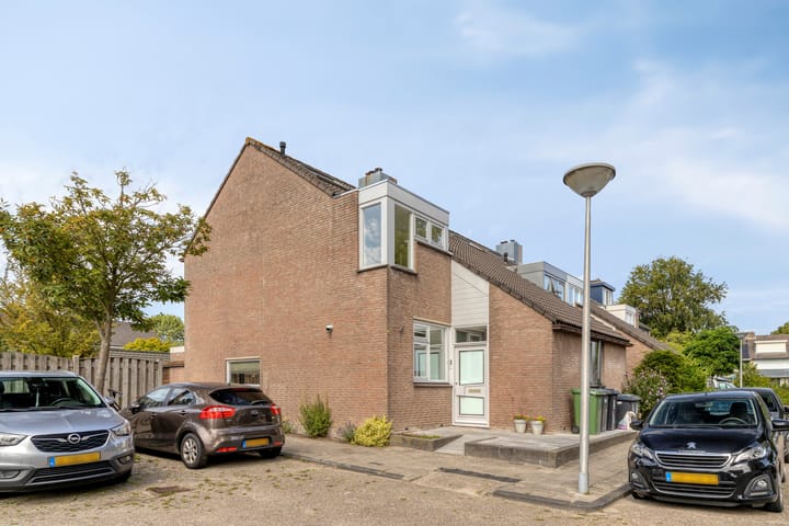 Anjer 1 in De Lier foto