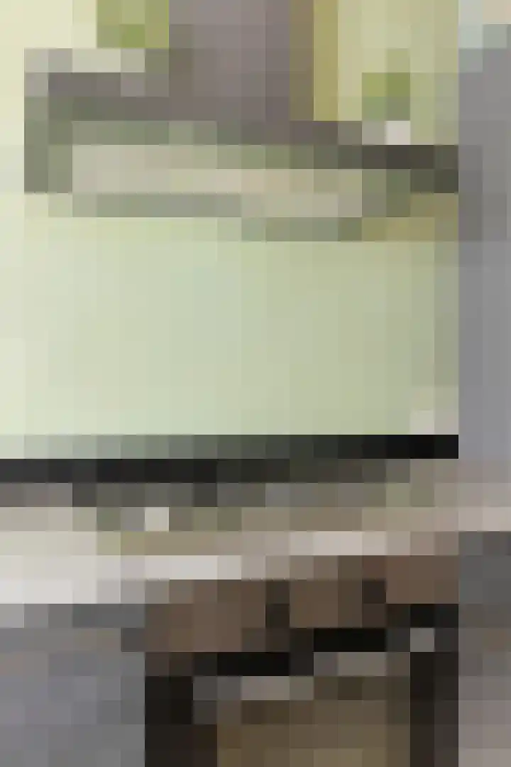 Anjer 1 De Lier thumbnail 14