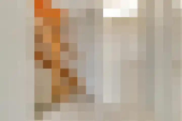 Anjer 1 De Lier thumbnail 18