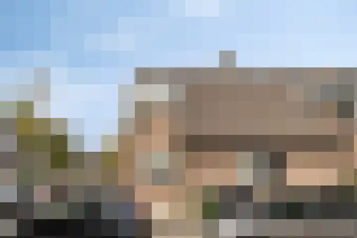 Anjer 1 De Lier foto 2