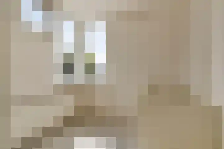 Anjer 1 De Lier thumbnail 20