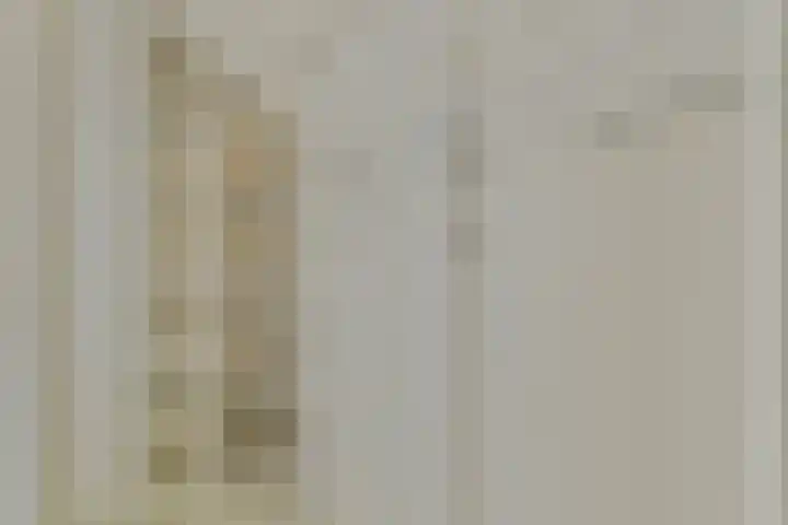 Anjer 1 De Lier thumbnail 21
