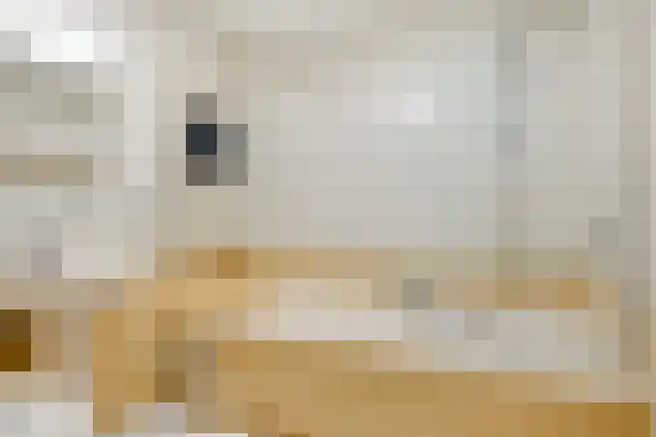 Anjer 1 De Lier thumbnail 23