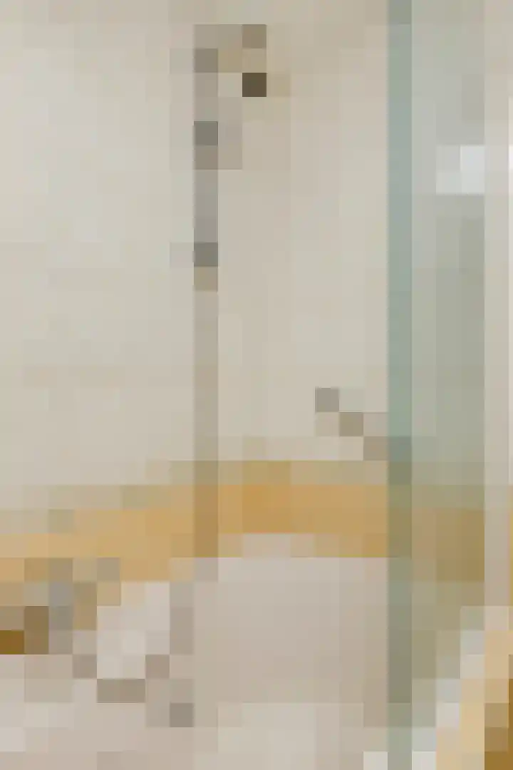 Anjer 1 De Lier thumbnail 28
