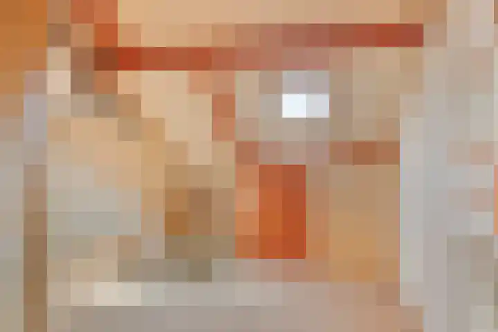 Anjer 1 De Lier thumbnail 29
