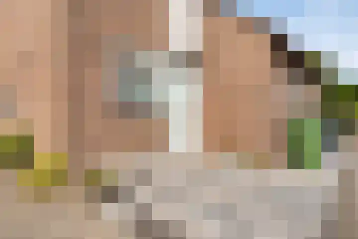 Anjer 1 De Lier foto 3
