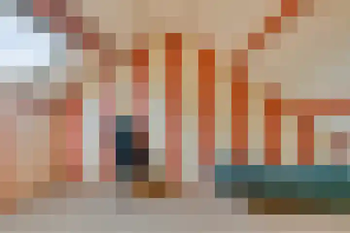 Anjer 1 De Lier thumbnail 30