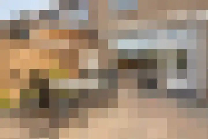 Anjer 1 De Lier thumbnail 32